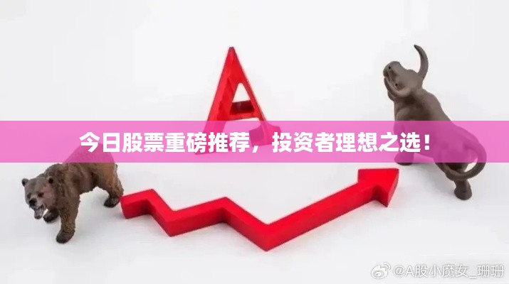 今日股票重磅推荐，投资者理想之选！