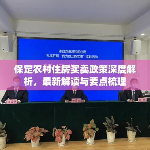 保定农村住房买卖政策深度解析，最新解读与要点梳理