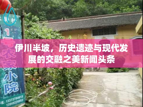 伊川半坡，历史遗迹与现代发展的交融之美新闻头条