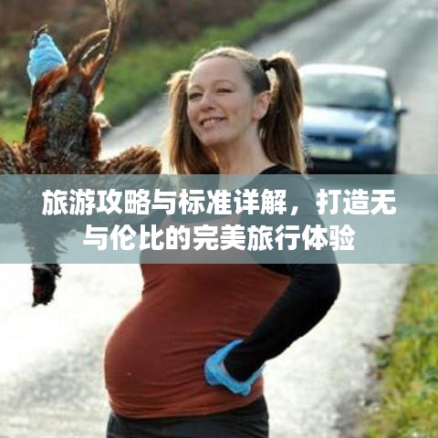 旅游攻略与标准详解，打造无与伦比的完美旅行体验