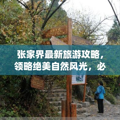 张家界最新旅游攻略，领略绝美自然风光，必游之地！