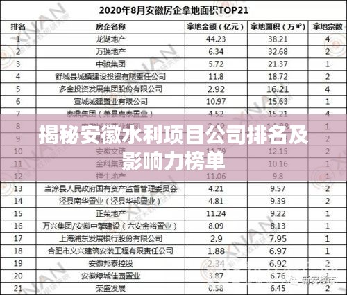 揭秘安徽水利项目公司排名及影响力榜单