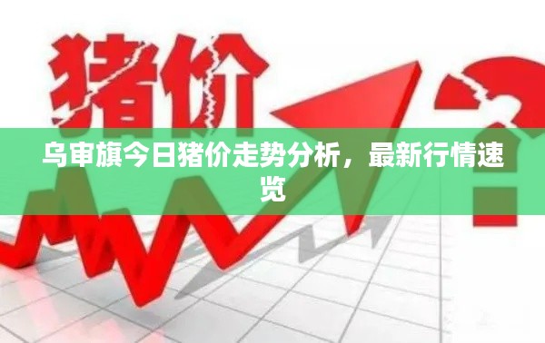 乌审旗今日猪价走势分析，最新行情速览
