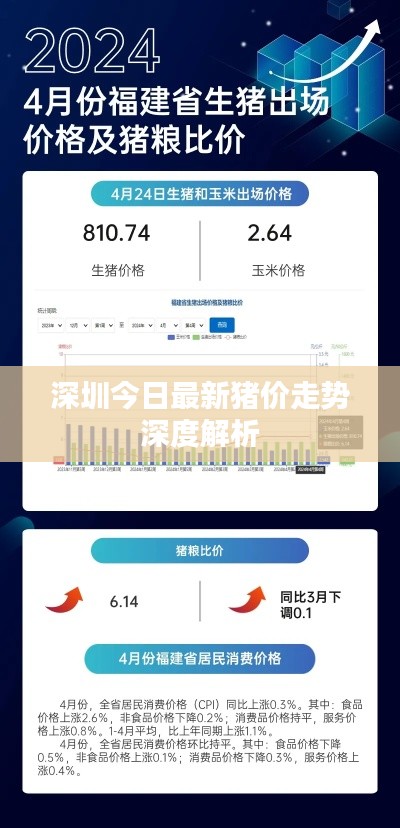深圳今日最新猪价走势深度解析