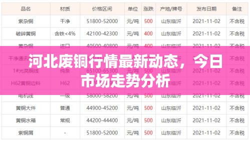 河北废铜行情最新动态，今日市场走势分析