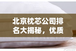 北京枕芯公司排名大揭秘，优质品牌榜单，选购首选！