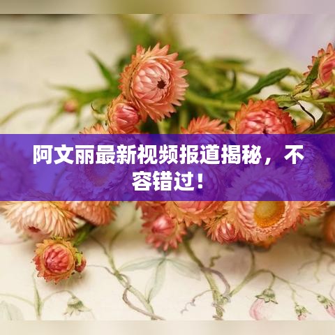阿文丽最新视频报道揭秘，不容错过！