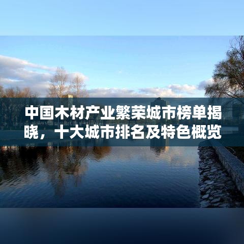 政策优势 第5页