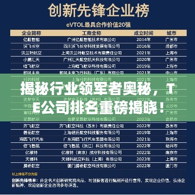 揭秘行业领军者奥秘，TE公司排名重磅揭晓！