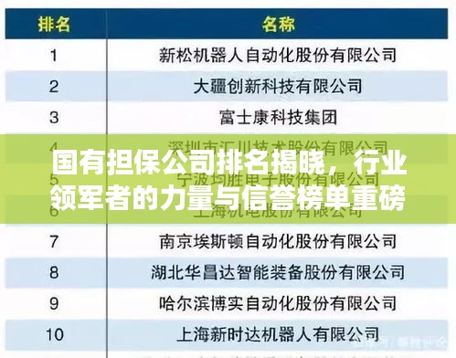 国有担保公司排名揭晓，行业领军者的力量与信誉榜单重磅出炉！