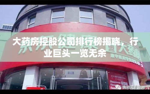 大药房控股公司排行榜揭晓，行业巨头一览无余