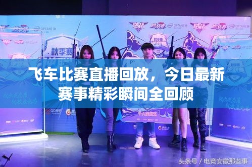 采椽不斫