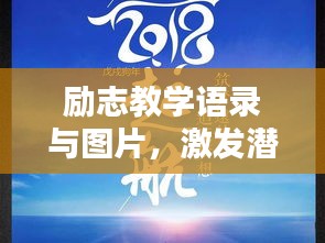 2025年5月 第12页