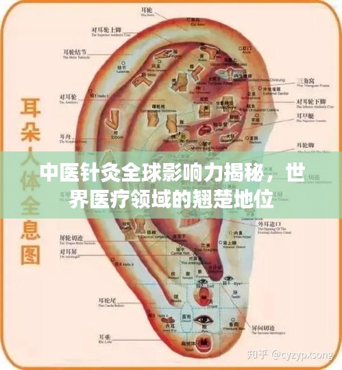中医针灸全球影响力揭秘，世界医疗领域的翘楚地位