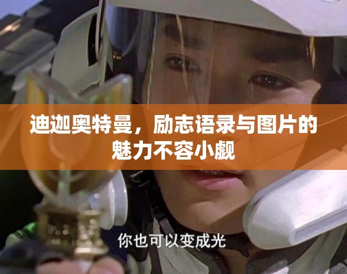 雍容尔雅