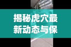 揭秘虎穴最新动态与保护进展，新闻头条热议热议话题