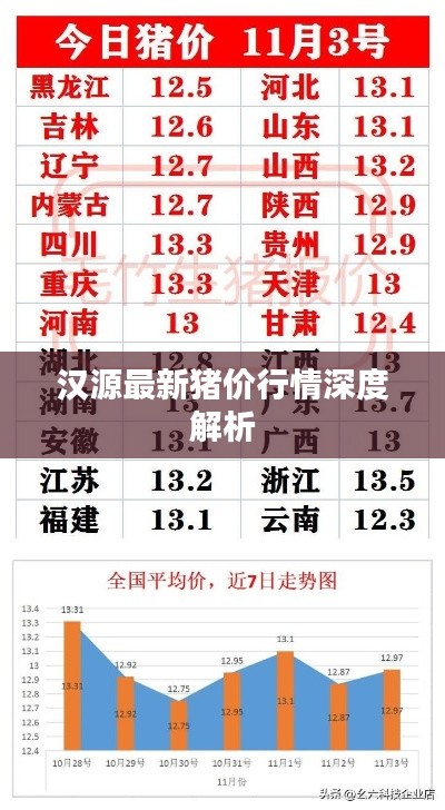 汉源最新猪价行情深度解析