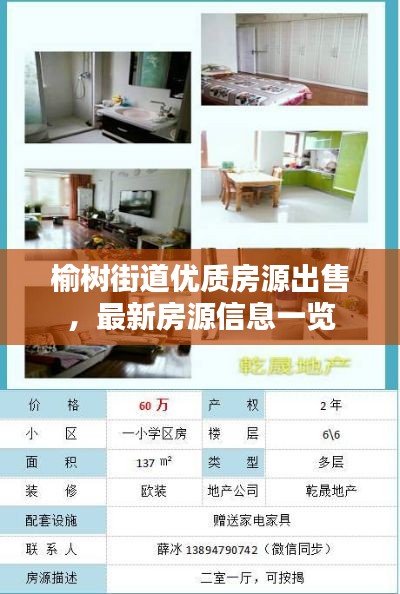 榆树街道优质房源出售，最新房源信息一览