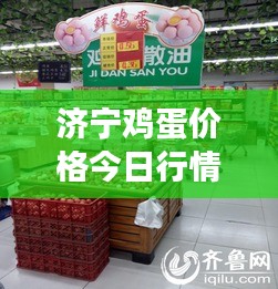 济宁鸡蛋价格今日行情分析，最新市场动态速递