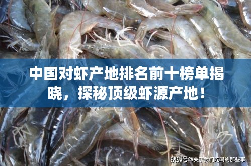 中国对虾产地排名前十榜单揭晓，探秘顶级虾源产地！