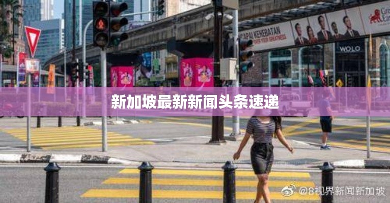 新加坡最新新闻头条速递
