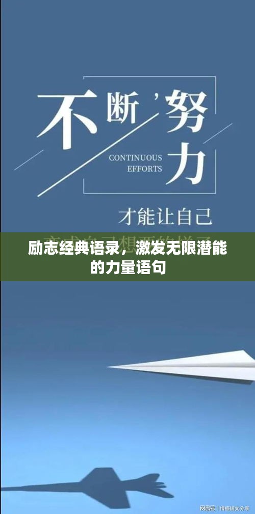 2025年5月12日 第4页