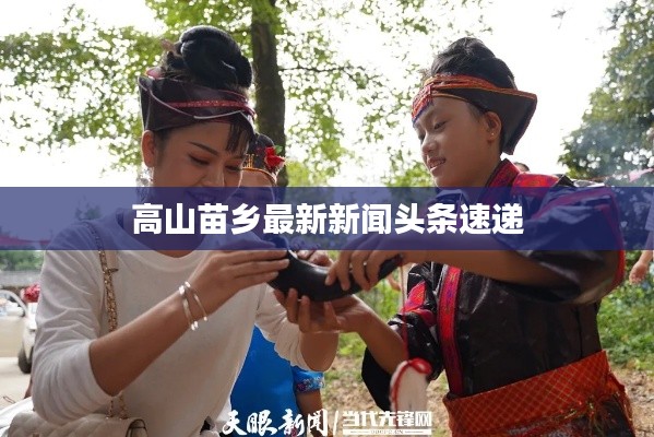 高山苗乡最新新闻头条速递