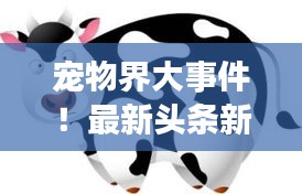 宠物界大事件！最新头条新闻一网打尽