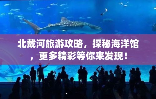 北戴河旅游攻略，探秘海洋馆，更多精彩等你来发现！