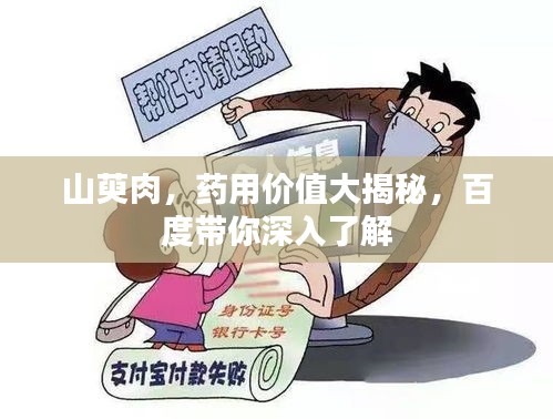 山萸肉，药用价值大揭秘，百度带你深入了解
