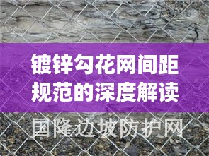 镀锌勾花网间距规范的深度解读与最新探讨