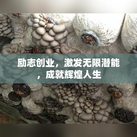 励志创业，激发无限潜能，成就辉煌人生