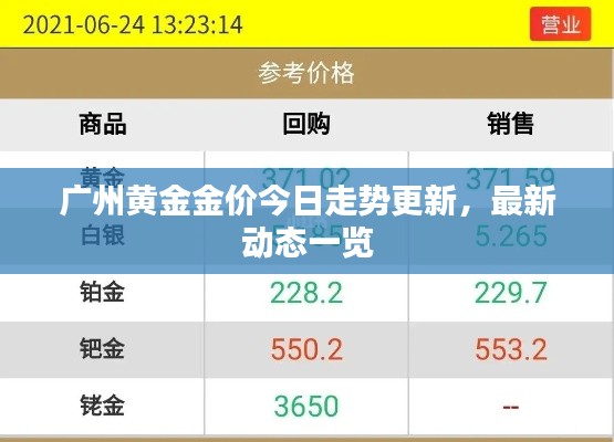 广州黄金金价今日走势更新，最新动态一览