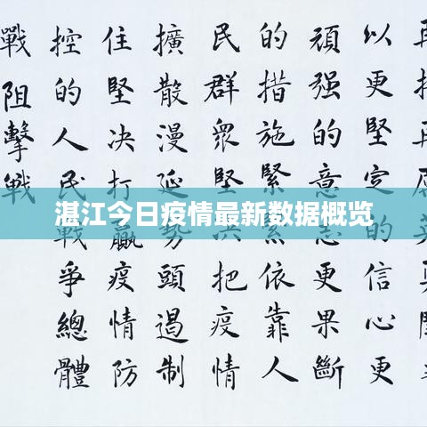 湛江今日疫情最新数据概览