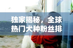 独家揭秘，全球热门犬种粉丝排行榜前十，谁最受欢迎？