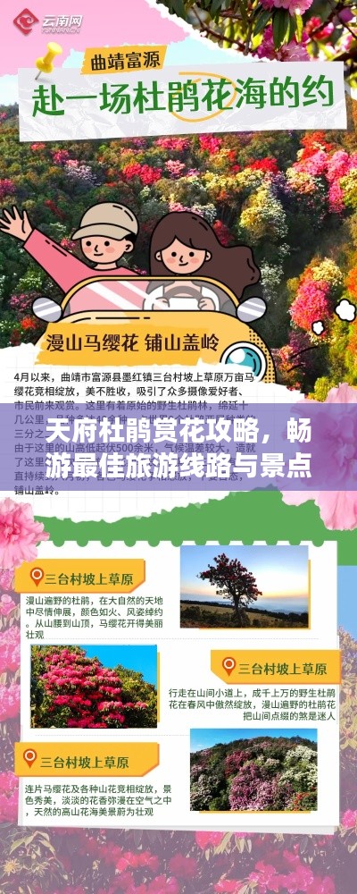 天府杜鹃赏花攻略，畅游最佳旅游线路与景点推荐！