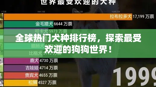 全球热门犬种排行榜，探索最受欢迎的狗狗世界！
