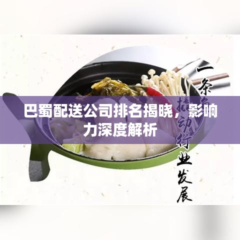 巴蜀配送公司排名揭晓，影响力深度解析