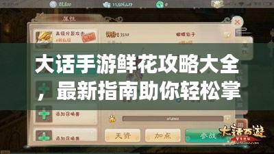 大话手游鲜花攻略大全，最新指南助你轻松掌握！