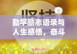 勤学励志语录与人生感悟，奋斗之路，励志前行！