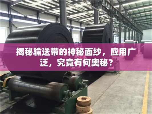 揭秘输送带的神秘面纱，应用广泛，究竟有何奥秘？