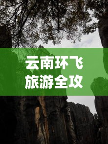 云南环飞旅游全攻略，最新游玩指南