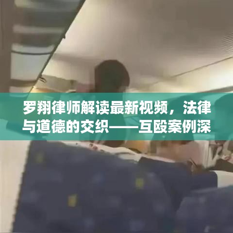 罗翔律师解读最新视频，法律与道德的交织——互殴案例深度剖析