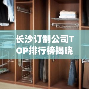 长沙订制公司TOP排行榜揭晓！专业定制服务优质企业榜单出炉！
