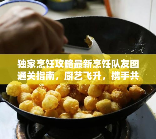 独家烹饪攻略最新烹饪队友图通关指南，厨艺飞升，携手共进荣耀时刻！