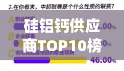 硅铝钙供应商TOP10榜单揭秘，行业领军者的市场影响力深度解析