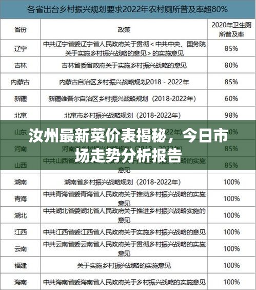 汝州最新菜价表揭秘，今日市场走势分析报告