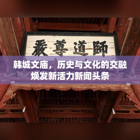 韩城文庙，历史与文化的交融焕发新活力新闻头条