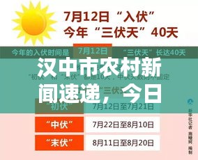 汉中市农村新闻速递，今日头条全面更新