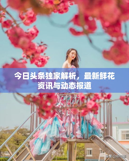 今日头条独家解析，最新鲜花资讯与动态报道